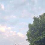 xiaotao的头像-小涛网络工作室ET资源网
