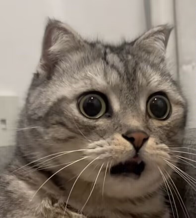 评论图片-小涛网络工作室ET资源网