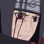 鼬不是坏人的头像-小涛网络工作室ET资源网