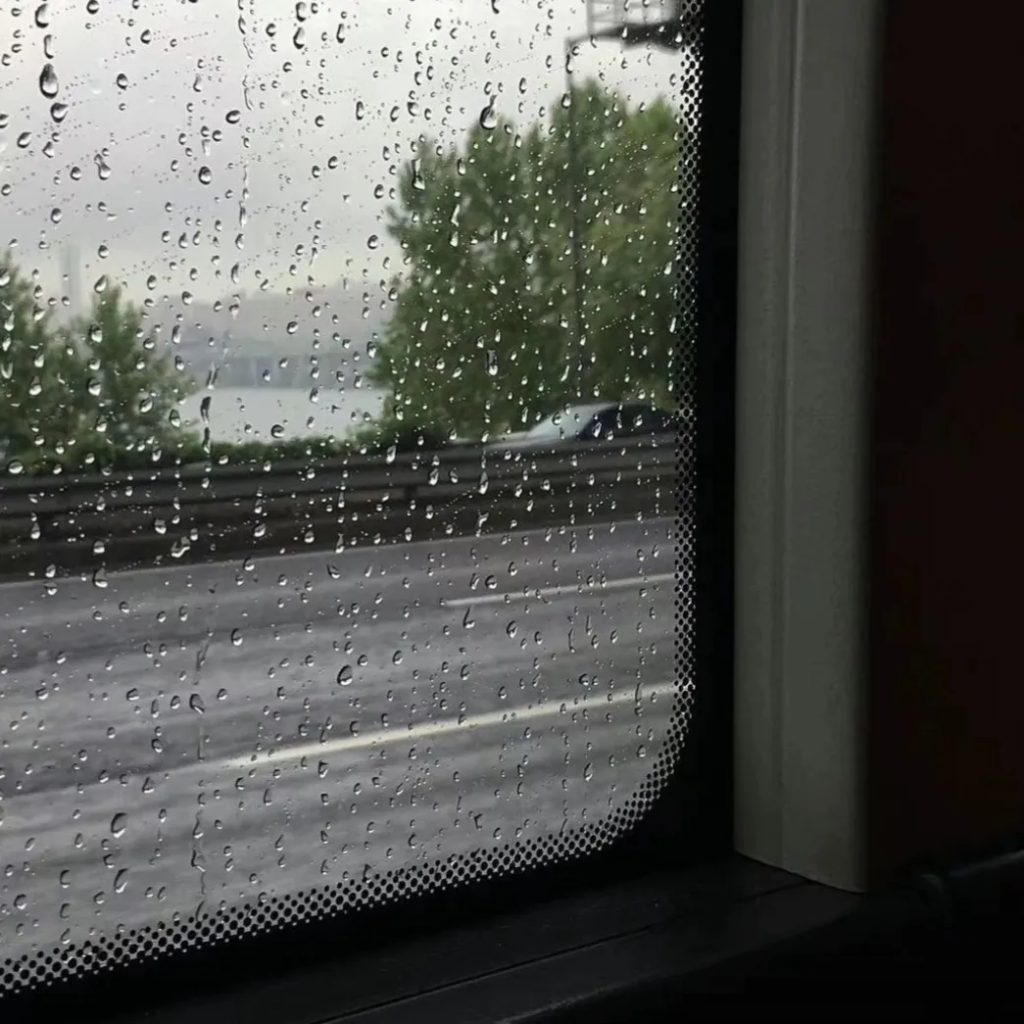 mmexport1675999122689