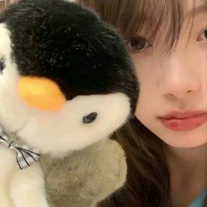 情头｜对象不是人系列-小涛网络工作室ET资源网