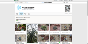 中国植物图像库(里面有详细记录论文学术必备)-小涛网络工作室ET资源网