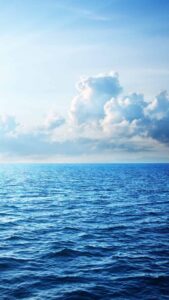 今日壁纸分享-小涛网络工作室ET资源网