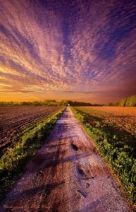 今日壁纸分享-小涛网络工作室ET资源网