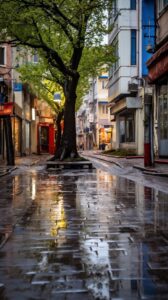 今日壁纸分享-小涛网络工作室ET资源网