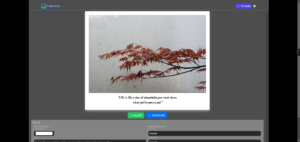 Polaroidy给自己拍的照片增加艺术签名-小涛网络工作室ET资源网