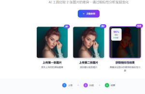 AI 图像相似度检查器-小涛网络工作室ET资源网
