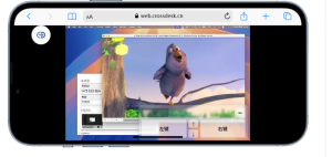 crossdesk浏览器操作远程控制-小涛网络工作室ET资源网
